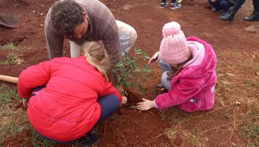 Alunos da Escola Nossa Senhora de Ftima Plantam rvores em Comemorao ao Dia do Meio Ambiente